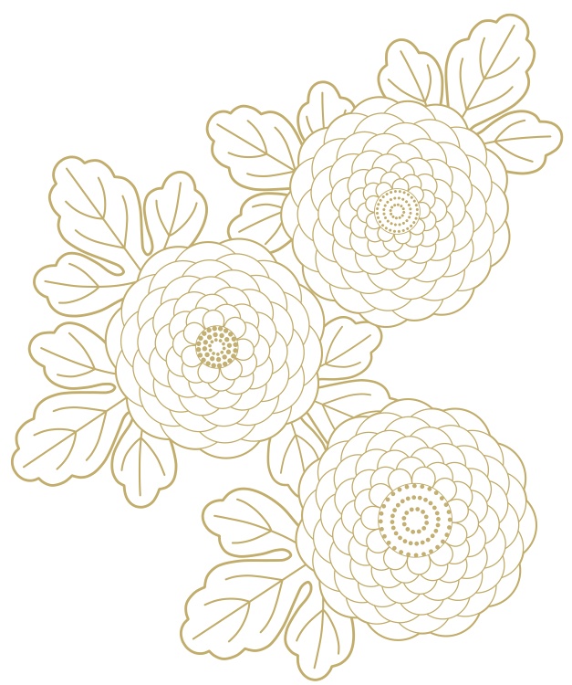 菊イラスト素材3