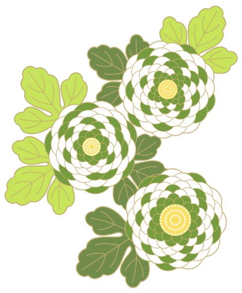 菊イラスト素材3