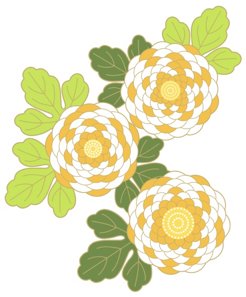 菊イラスト素材3