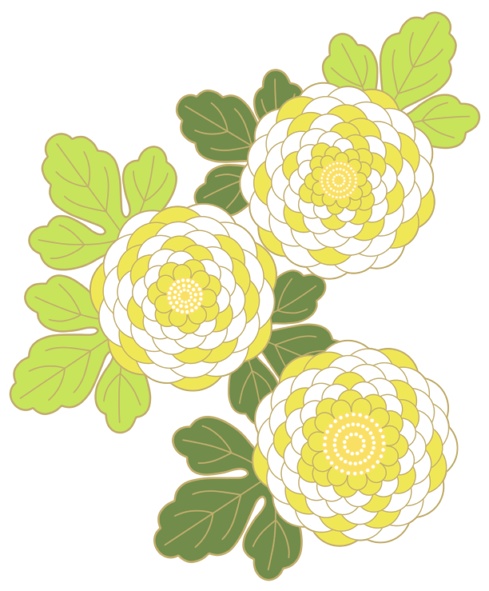 菊イラスト素材3