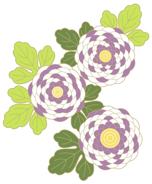 菊イラスト素材3