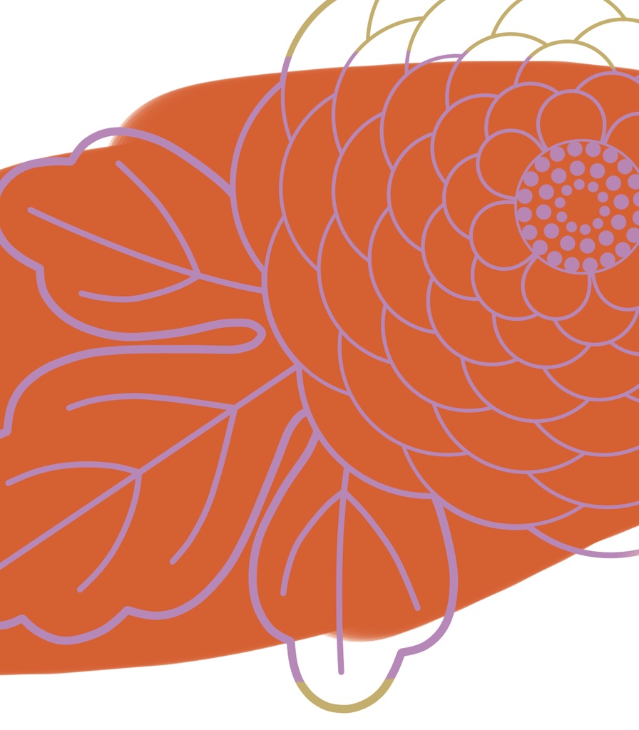 菊イラスト素材3