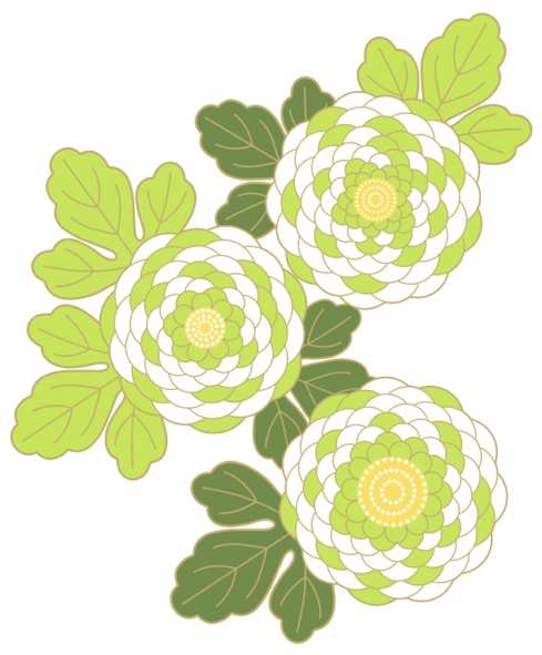菊イラスト素材3