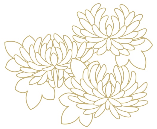 菊イラスト素材4