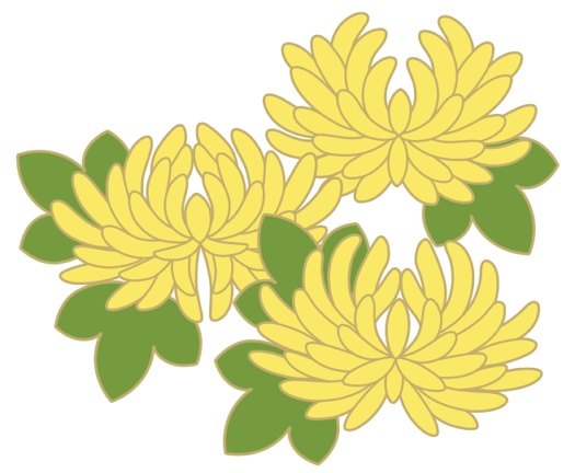 菊イラスト素材4