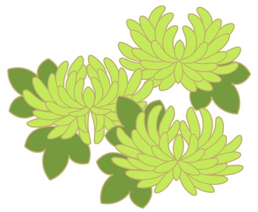 菊イラスト素材4