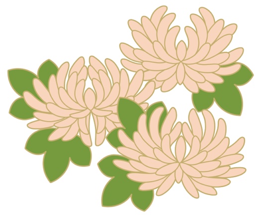 菊イラスト素材4