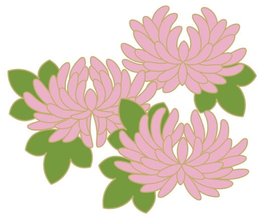 菊イラスト素材4