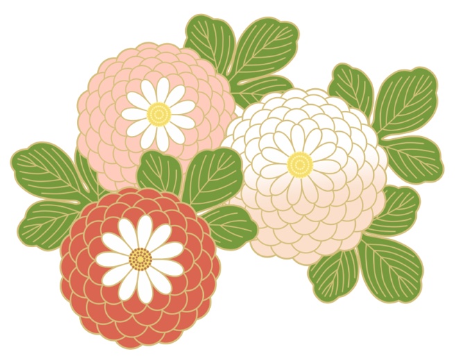 菊イラスト素材6