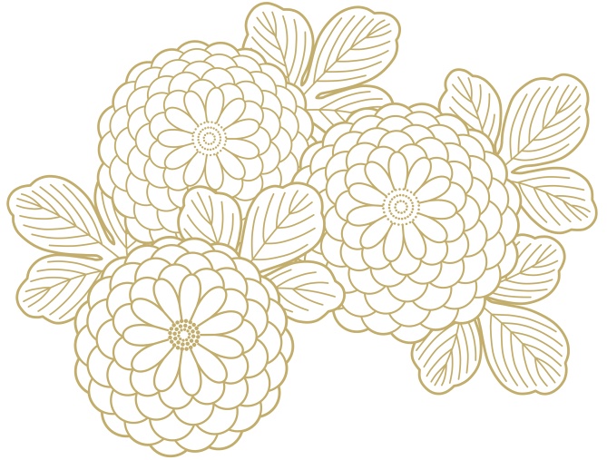 菊イラスト素材6