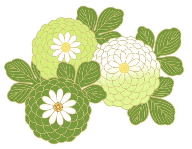 菊イラスト素材6