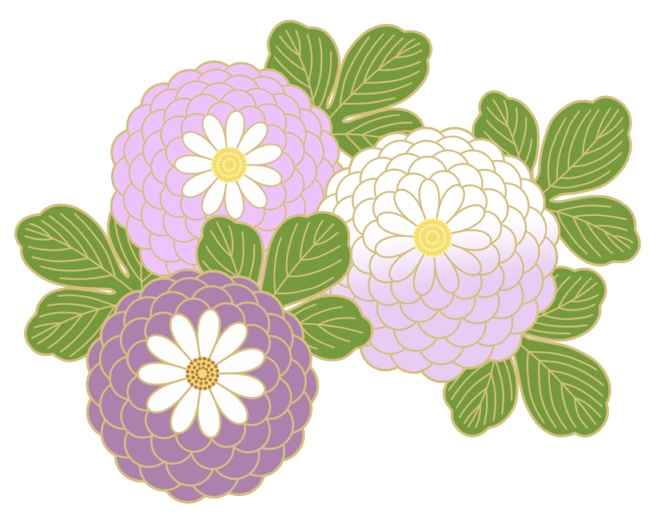 菊イラスト素材6