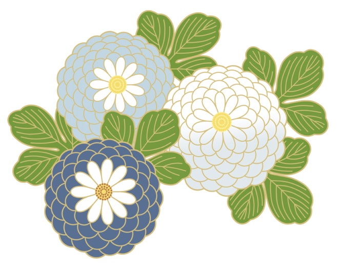 菊イラスト素材6