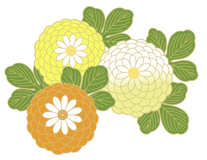 菊イラスト素材6