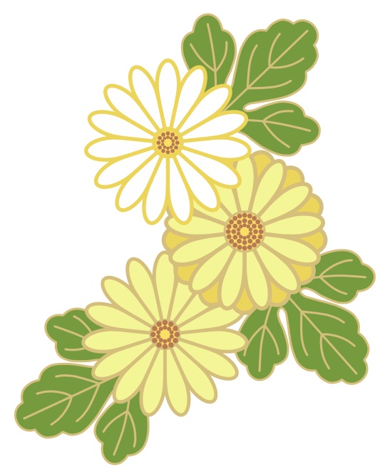菊イラスト素材7