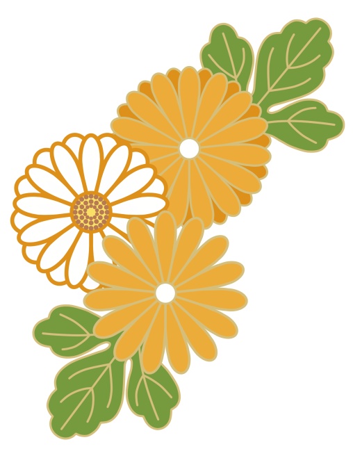 菊イラスト素材7