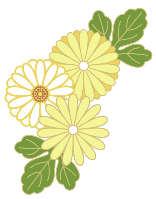 菊イラスト素材7