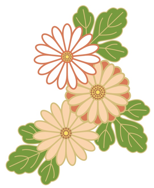 菊イラスト素材7