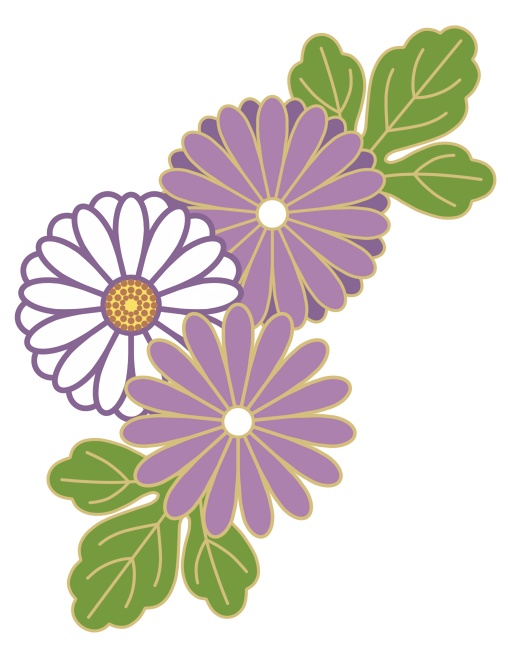 菊イラスト素材7