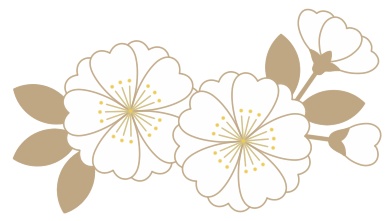 桜イラスト素材1