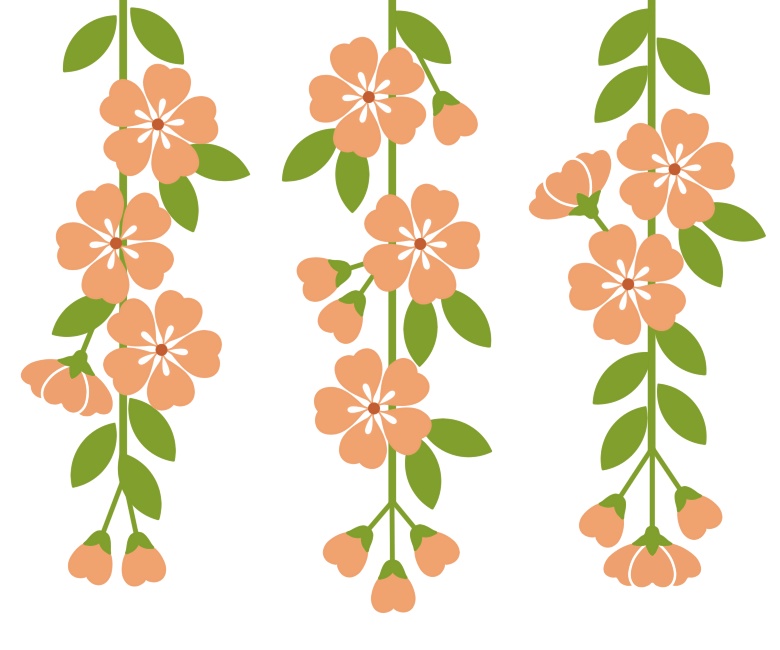 枝垂れ桜イラスト素材