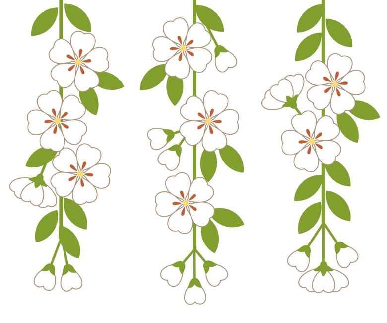 枝垂れ桜イラスト素材