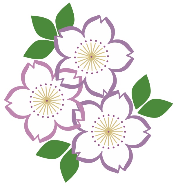 桜イラスト素材7