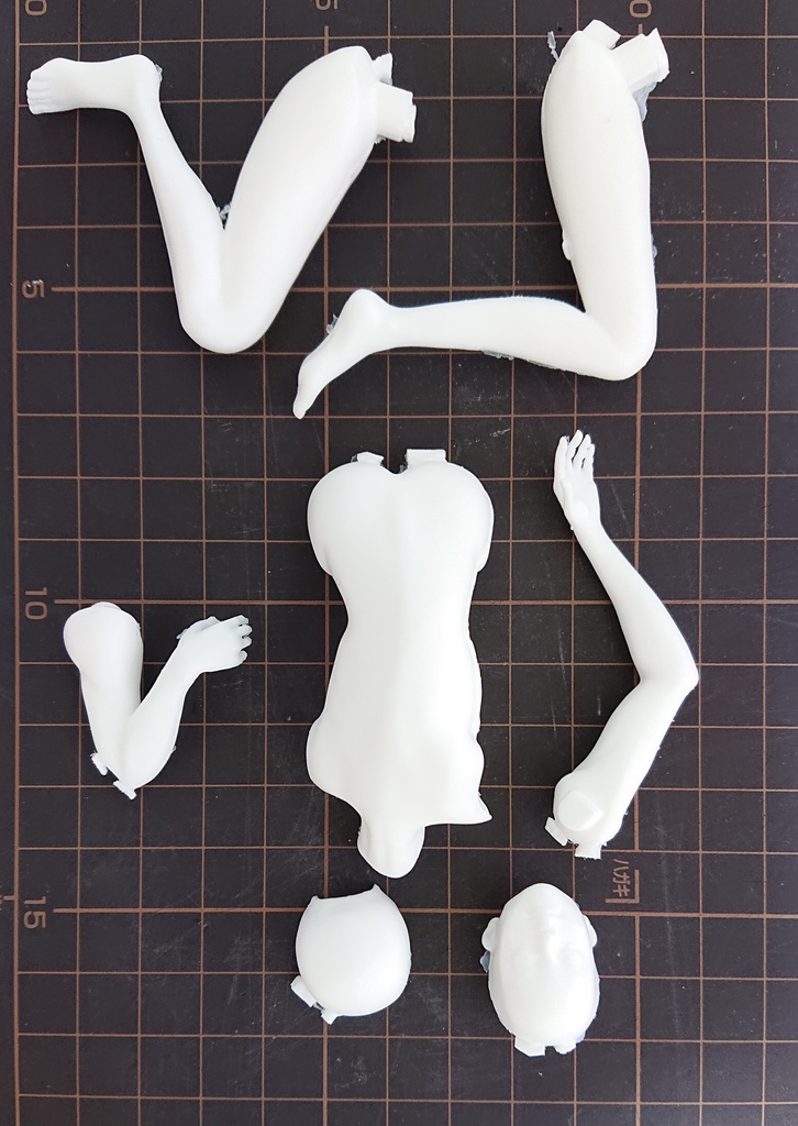 冬虫夏草の苗(改)