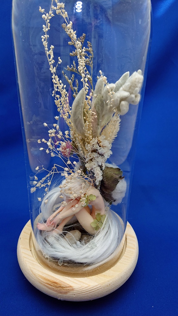 冬虫夏草の苗(改)