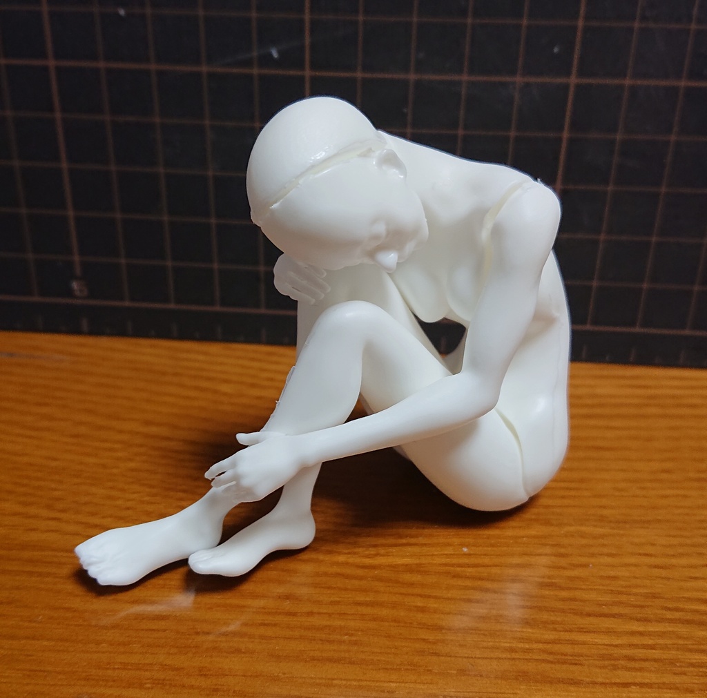 冬虫夏草の苗(改)