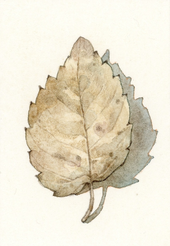 額装ミニ原画「落ち葉1」