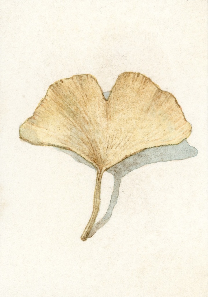 額装ミニ原画「落ち葉2」