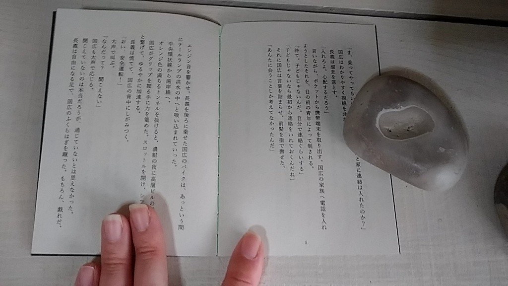 【通常配送】ナイトライダー