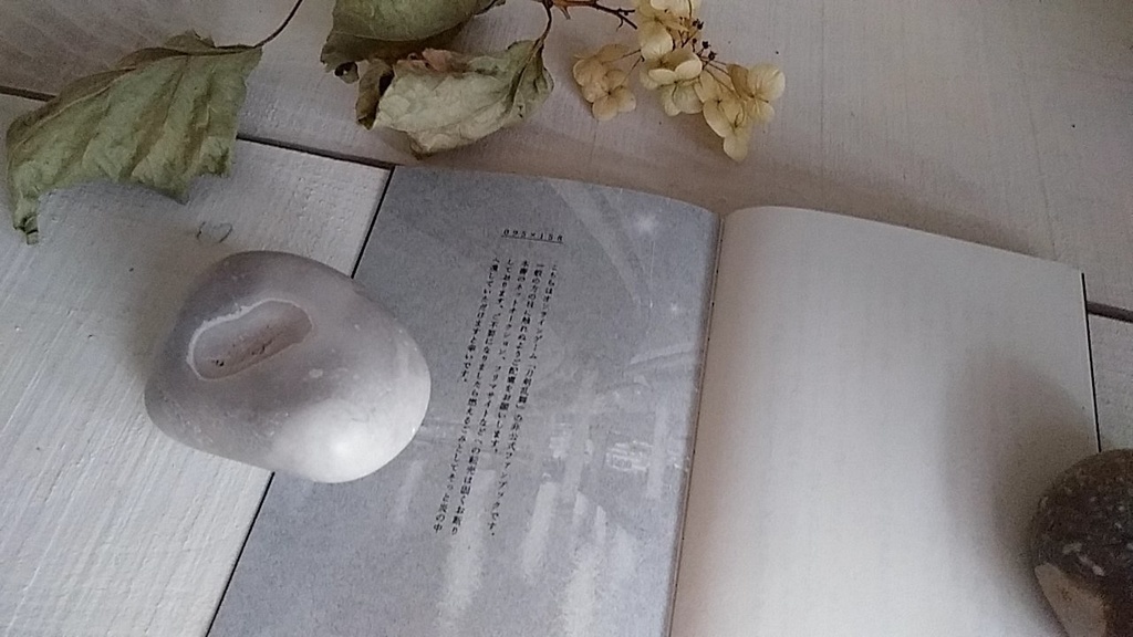 【匿名配送】ナイトライダー