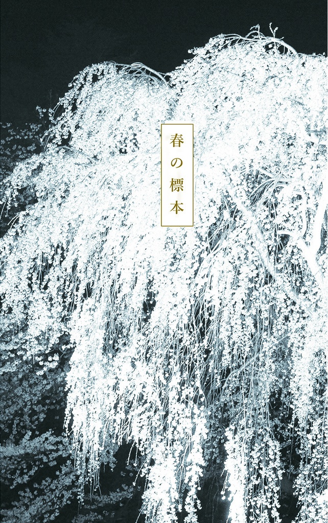 【匿名配送】春の標本