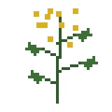 WildLot|荒地の高草パック【植物4種アドオン】