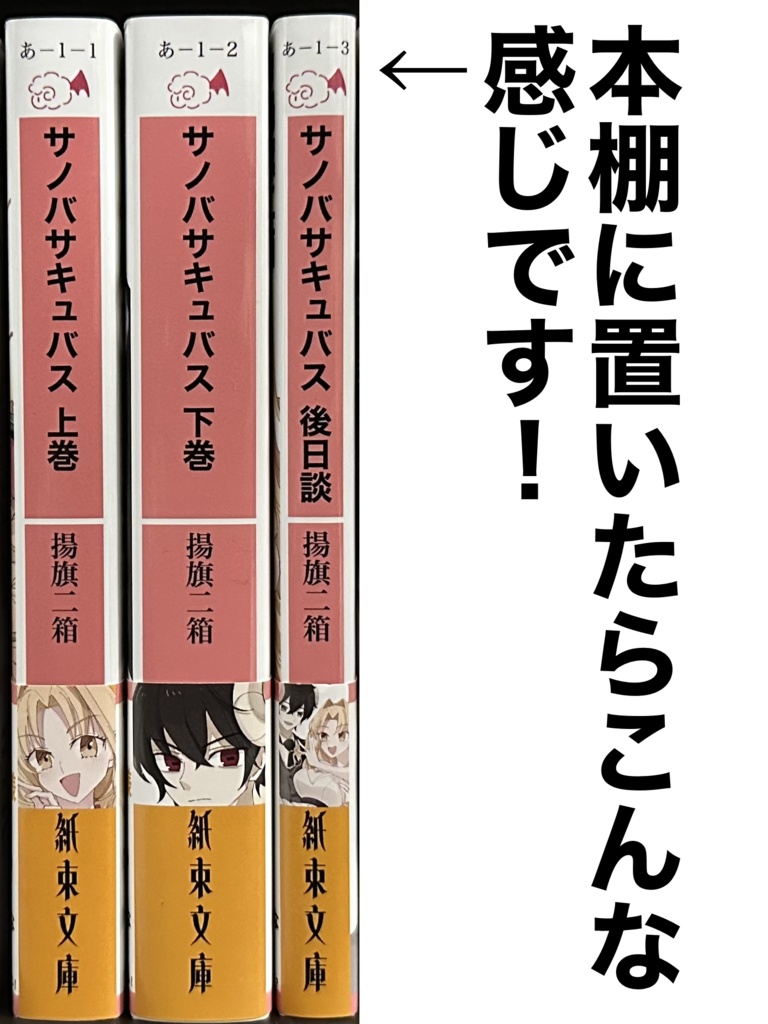 【同人版・セット販売】サノバサキュバス エロスキルしか使えないけど、ダンジョンは真面目に攻略したい 全巻セット ファンタジーライトノベル【ネトコン12コミック部門受賞作!】