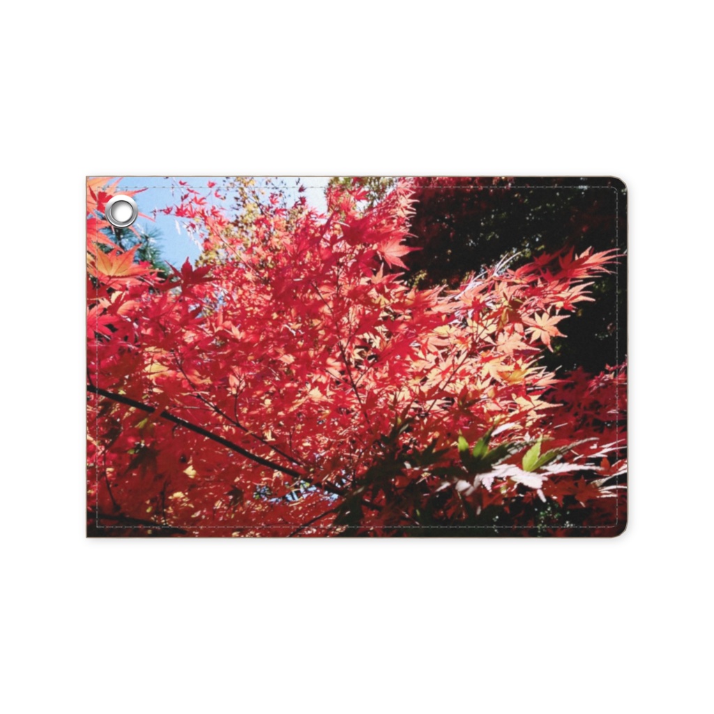 咲き誇る紅葉