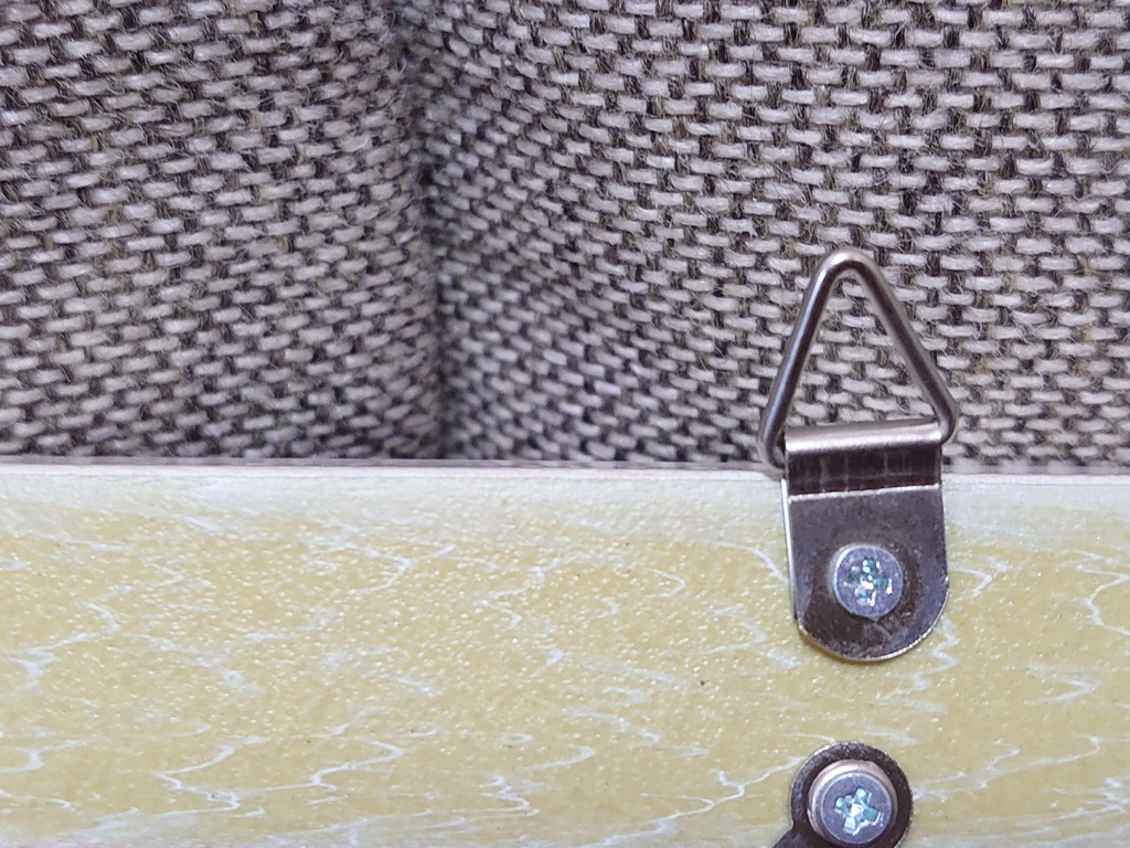 額縁作品:リーフィーシードラゴン