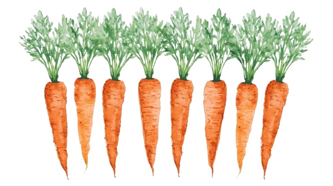 水彩アンティーク野菜クリップアート10点セット