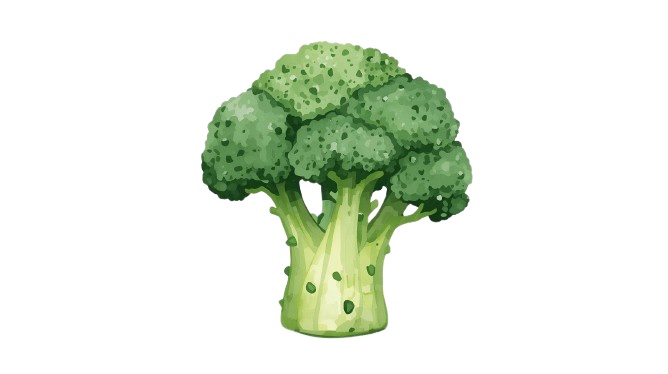 水彩アンティーク野菜クリップアート10点セット