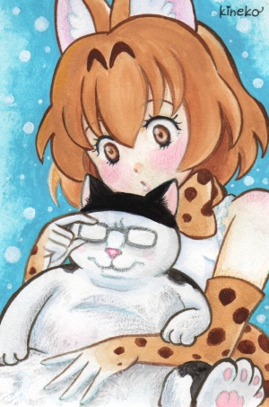 レイヤーさんとデブネコ