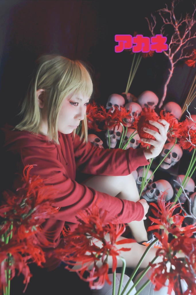 チェンソーマン コスプレブロマイド