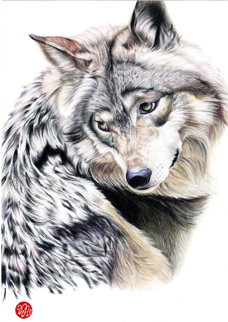 イラストデータ