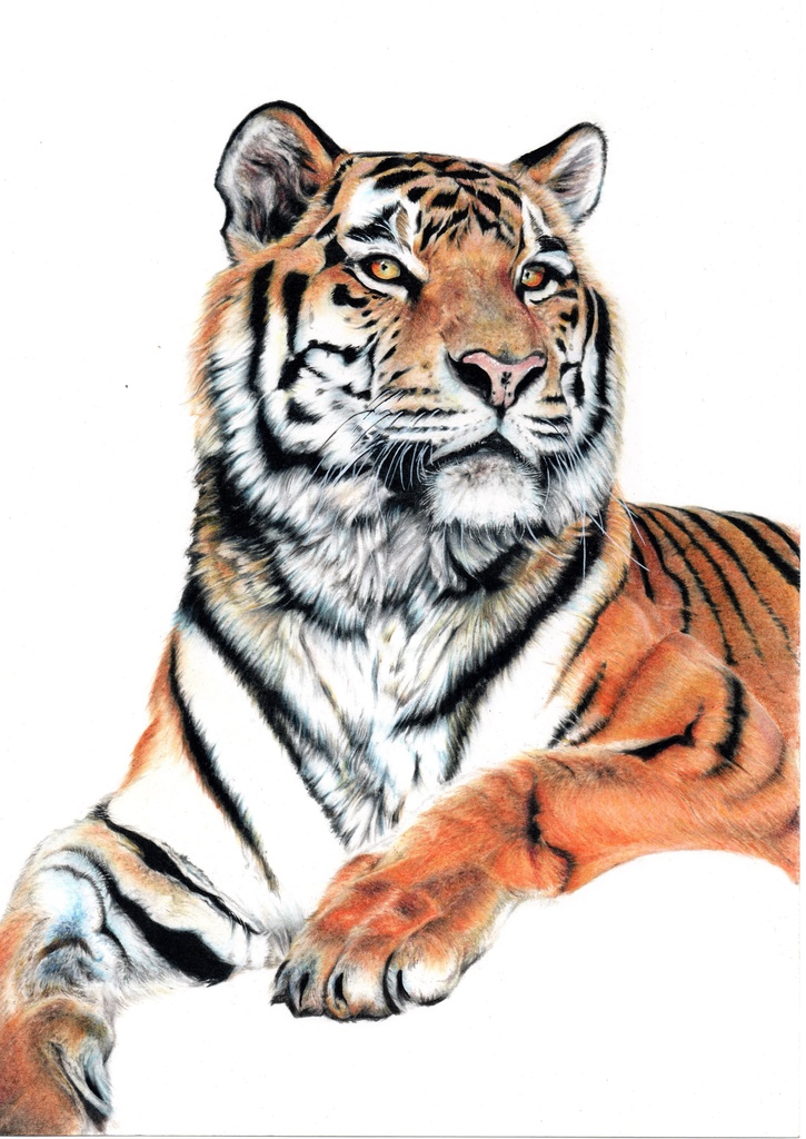 イラストデータ