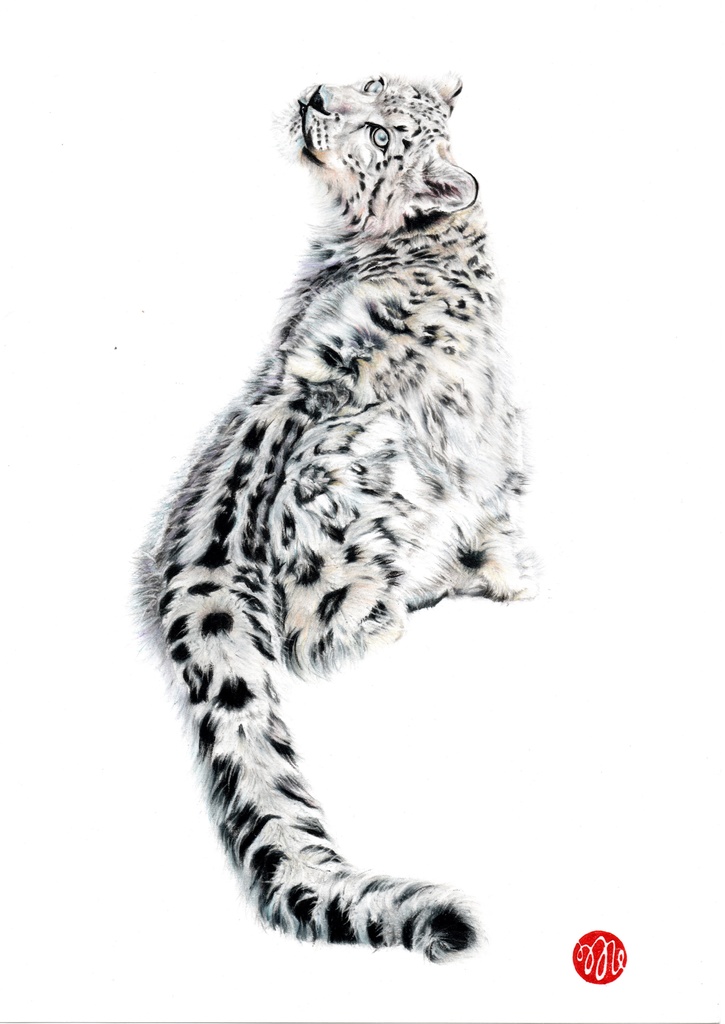 イラストデータ