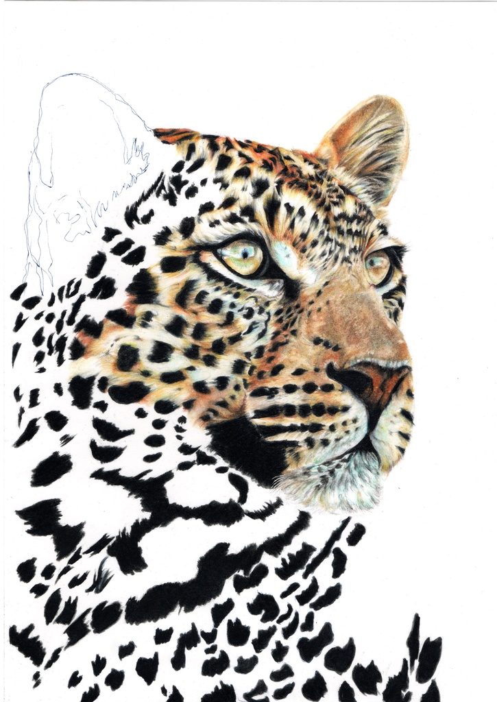 イラストデータ