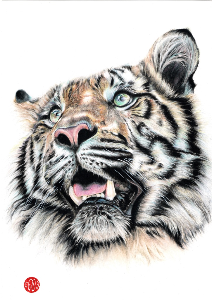 イラストデータ