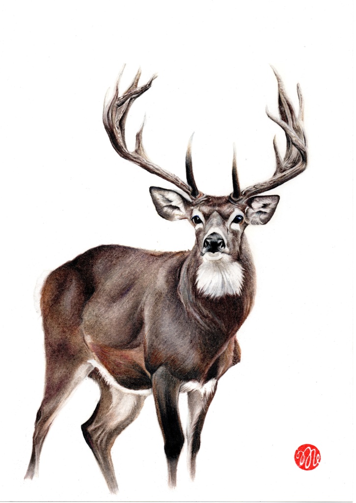 イラストデータ