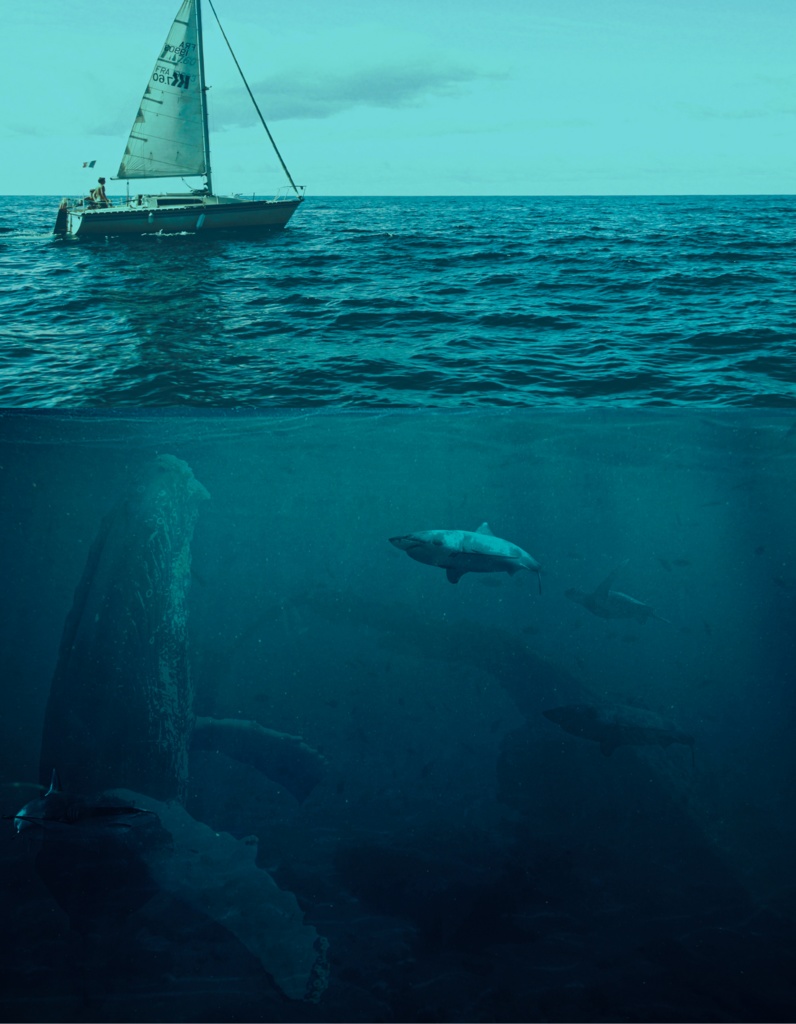 Sea creatures 手帳型 iPhoneケース (12・12Pro)